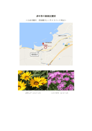 多年草の植栽位置図