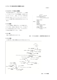 スバルーその星名伝承の多様性に迫る