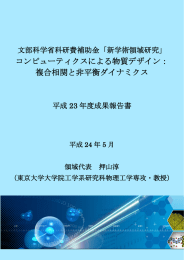 平成23年度 成果報告書 - コンピューティクスによる物質デザイン：複合