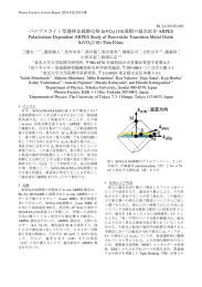 ペロブスカイト型遷移金属酸化物SrVO 3 (110)薄膜の