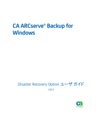 CA ARCserve Backup for Windows Disaster Recovery Option ユーザ