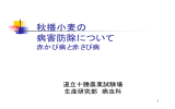 2回まで減らせる 秋まき小麦の赤かび病防除