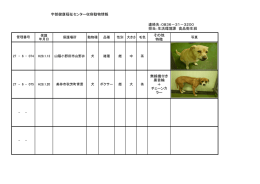 その他 特徴 無線機付き 黒首輪 ＋ チェーンカ ラー 宇部健康福祉センター