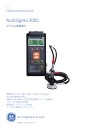 AutoSigma 3000