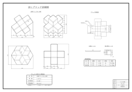 六脚ブロックA110形（20t）詳細図