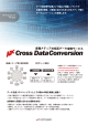 Cross DataConversion