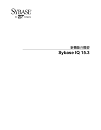 Sybase IQ