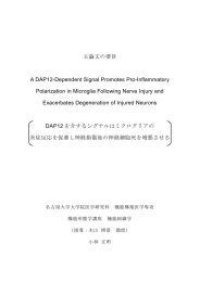 2．甲10914 小林 正明 主論文の要旨