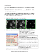 での画像の重ね合わせについて(標準機能)