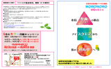 PowerPoint プレゼンテーション