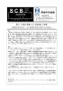 内部格付手法の方が、中小企業向け貸出に有利となる見込み－