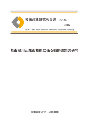 労働政策研究報告書No.89 全文（PDF：3.2MB）