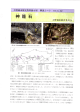 神籠石（PDF:988KB）
