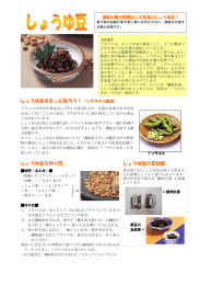 しょうゆ豆をもっと知ろう！（ソラマメの歴史） しょうゆ豆の作り方
