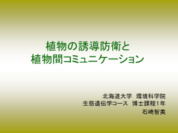 植物の誘導防衛と 植物間コミュニケーション