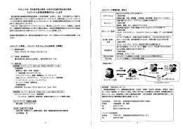 平成 24 年度 緊急雇用創出事業 全員参加型雇用機会創出事業