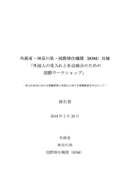 報告書（PDF） - Ministry of Foreign Affairs of Japan