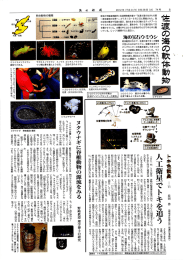 Page 1 ) 74 (平成24年)8月28日( 2012年 新 45 σή ともありますが、トキ