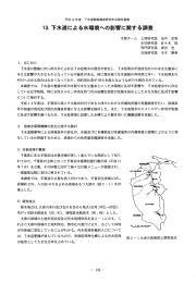 ー3` 下水道による水環境への影響に関する調査