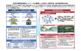 広域災害監視衛星ネットワークの整備による防災・災害対策、海洋監視等