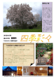 2012年春 vol.21 PDFファイル形式 0.9MB