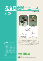 花き研究所ニュース No.29