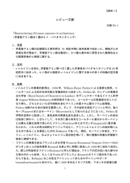 文献レビュー（PDF：219KB）