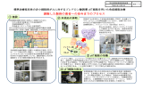 新規申請技術の概要及びロードマップ（PDF）