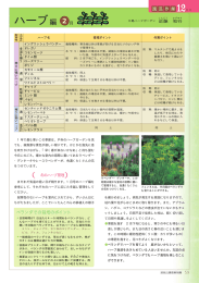 ハーブ編 2 月