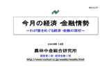 今月の経済・金融情勢 - 農林中金総合研究所