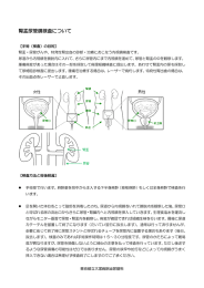 腎盂尿管鏡検査について PDF