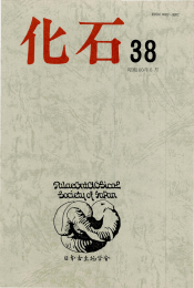 第38号（1985年6月）