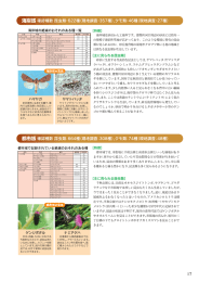 海岸域 確認種数 昆虫類 = 622種 (現地調査 = 357種) ,ク モ類 = 46種