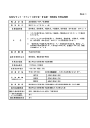 のむラップ・ファンド【保守型・普通型・積極型】の商品概要
