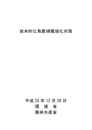 抜本的な鳥獣捕獲強化対策（PDF：265KB）