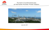 Reference:Tsunami Countermeasures at Hamaoka Nuclear Power