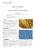 判読が難しい微地形の強調方法 Especial representation method of the