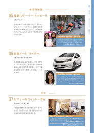 電動スクーター キャピーⅡ セジュールウィット&minus;SW 日産ノート「ライダー」